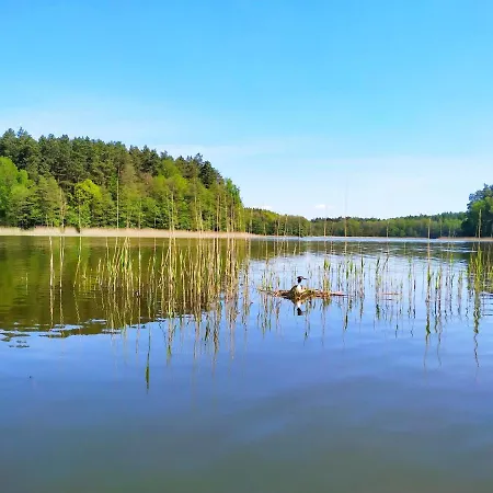 Lakehouse * Radomno